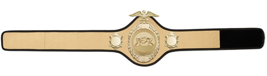 GRAPPLING CHAMPIONSHIP BELT - PRO288/G/GRAPG - 10 COLOURS